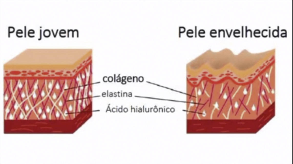 Harmonização Facial Isabel Piatti