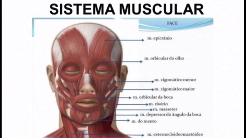 Harmonização Facial Isabel Piatti
