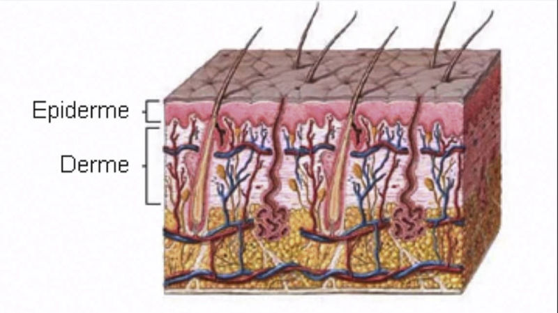 Harmonização Facial Isabel Piatti